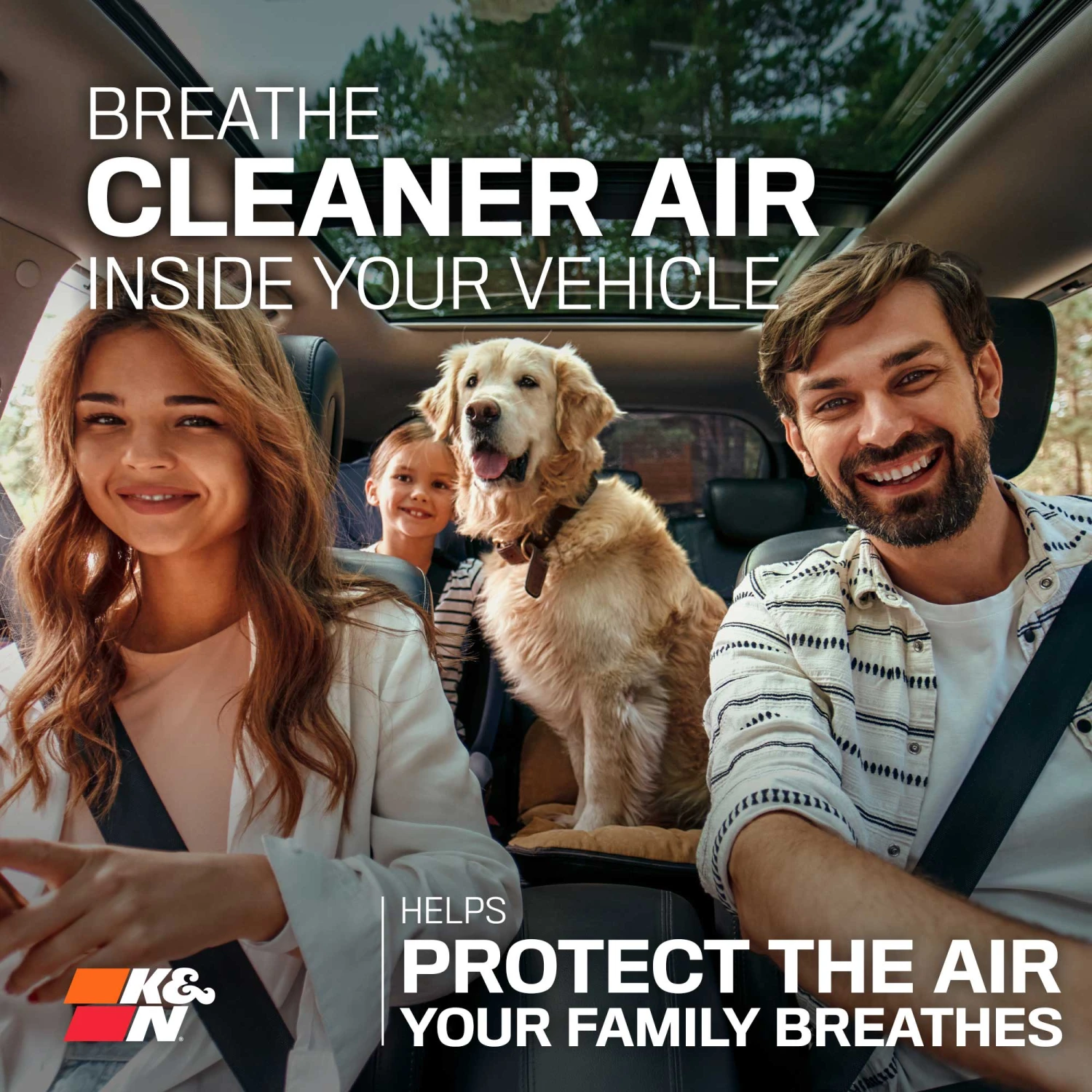 K&N Cabin Air Filter 3 K&N Cabin Air Filter - Image 3